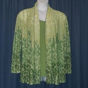 Susan graver green semi sheer set